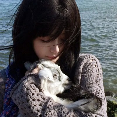 幸福终点站海报